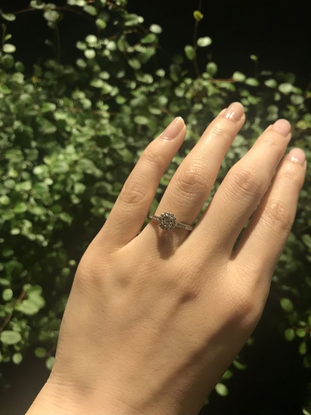 屋外のライトアップの下で