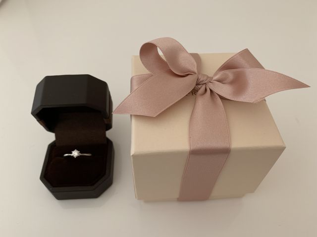 主人に買ってプレゼントしてもらいました。