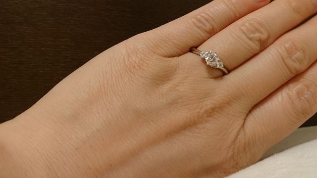 上から見たところ