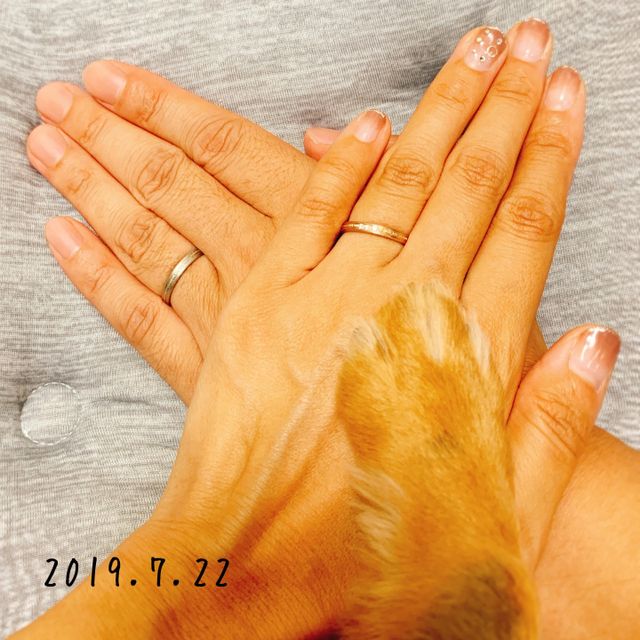 ペットとも手を合わせて、家族一丸で共に生きていきます。