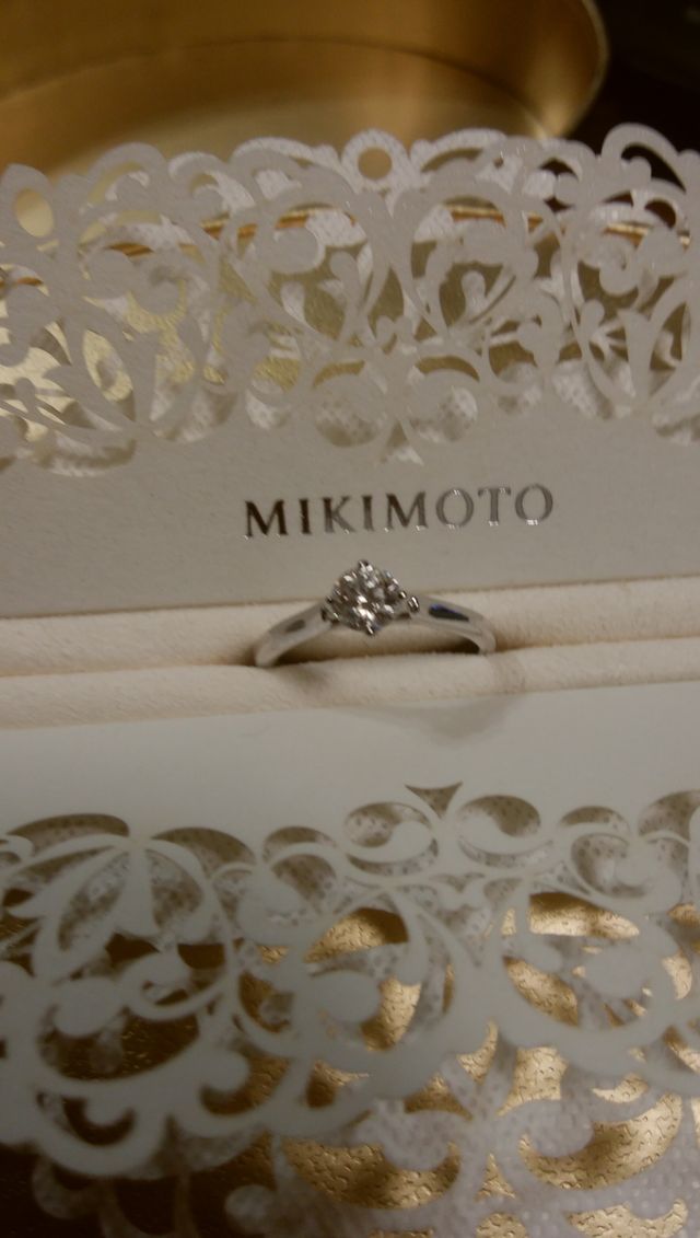 頂いたケースに。