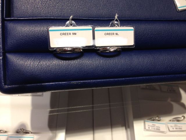 ペアで並べたところ