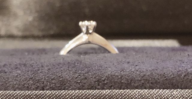 横からの画像です。