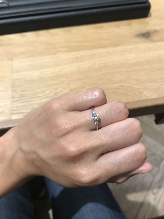 華やぎを選びました。