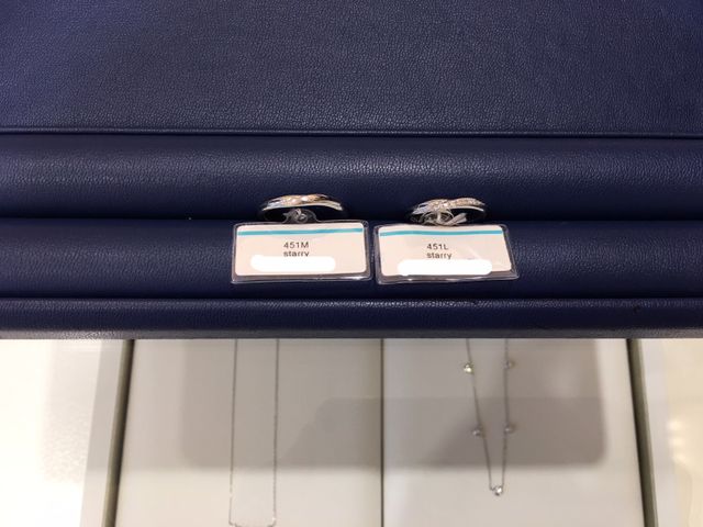 【Starry】スターリー