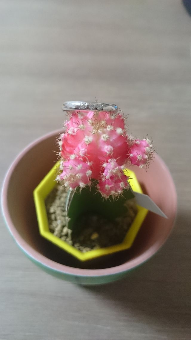 埋め込まれたダイヤ(0.05)が可愛い