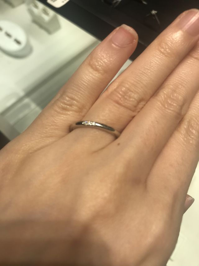 春に出た新作で品薄でした。