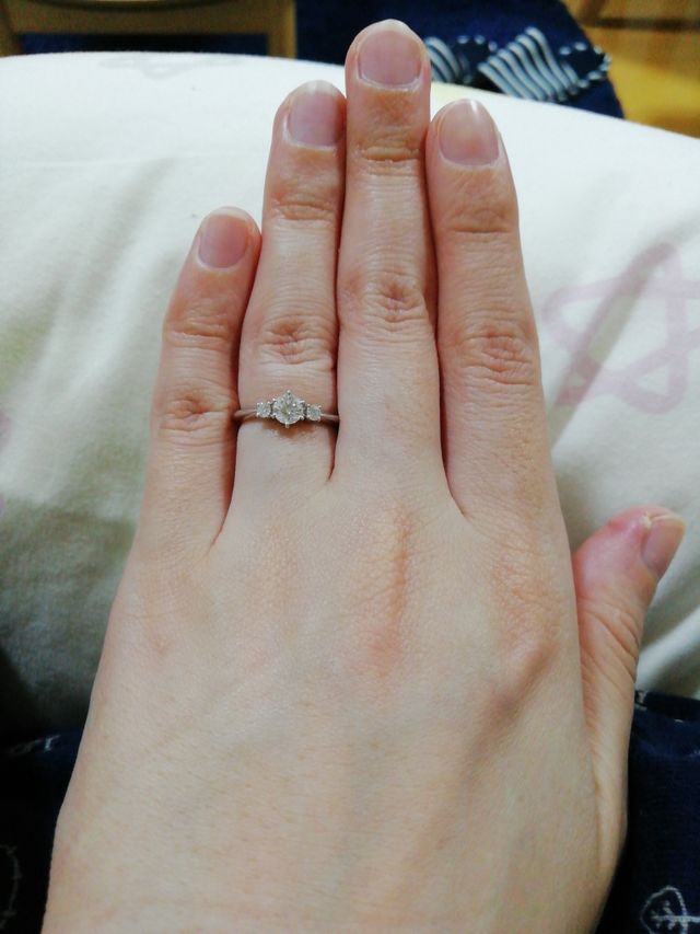 遠目からでもキラキラしています。