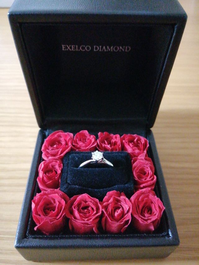 開いたらこのような感じ