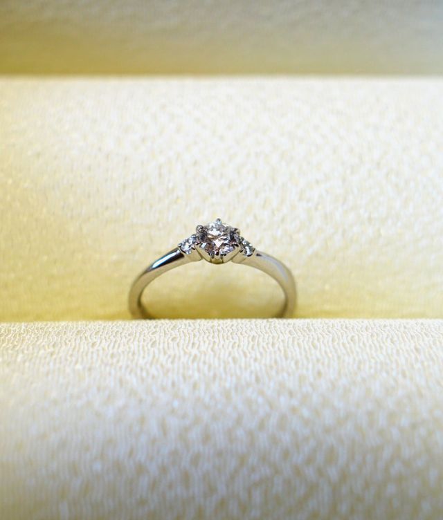 木漏れ日の散歩道