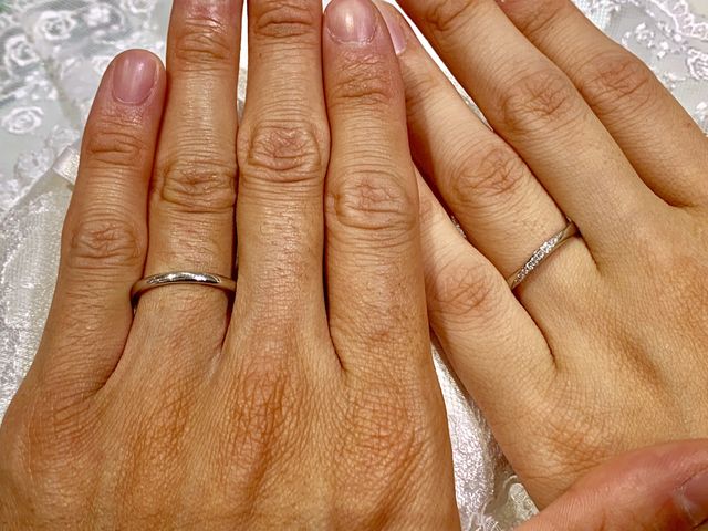 TH-AL PT9502018-AL PT950