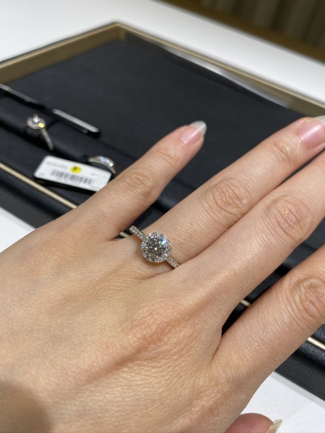 セントパトリック28に一目惚れ