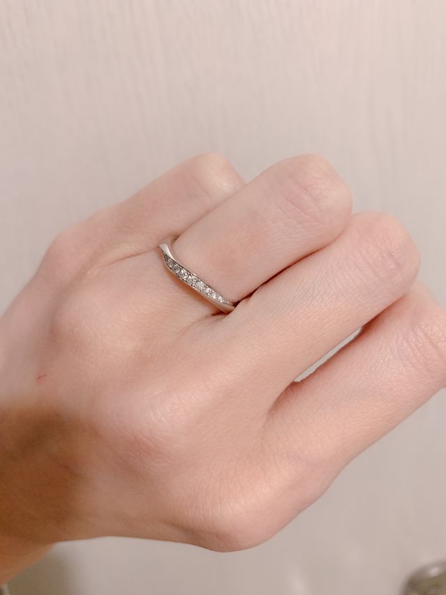 アルチェステ 6.5号