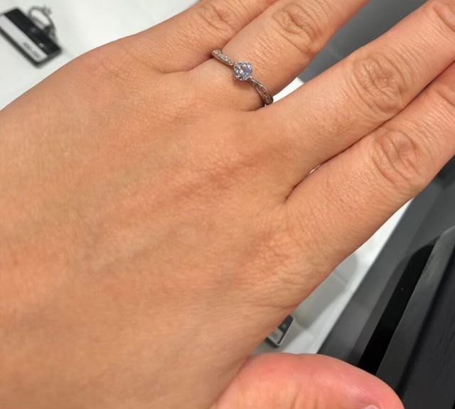 パレスというデザインです