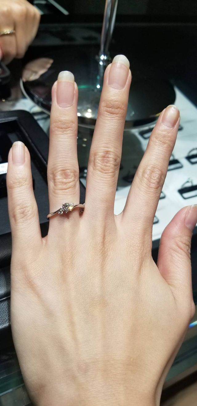 スターリーライツ