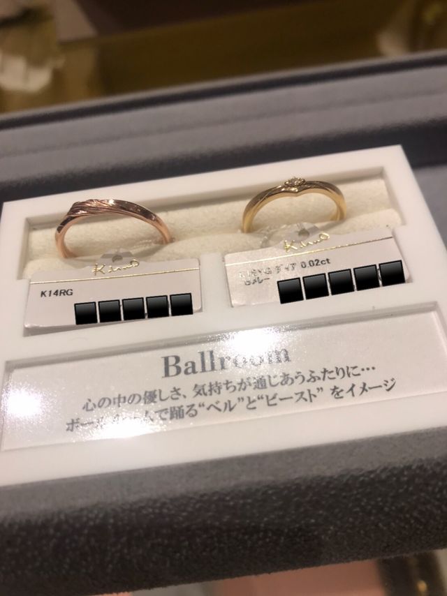 美女と野獣シリーズ