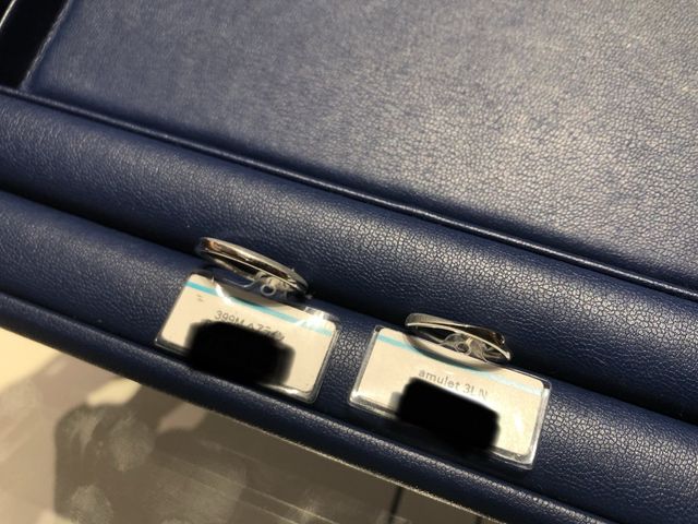 左:Bright Plumage
右:amulet