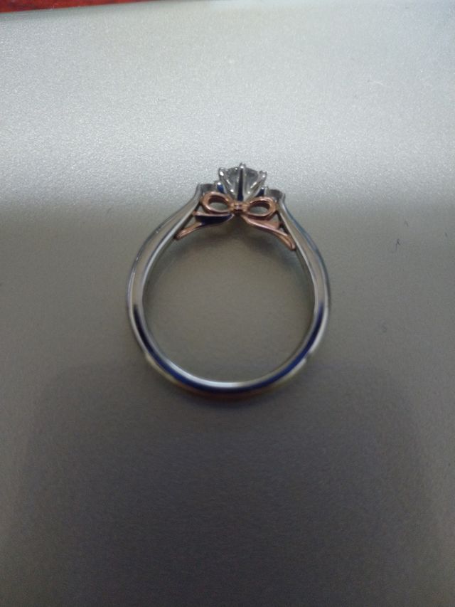 側面から見た写真です