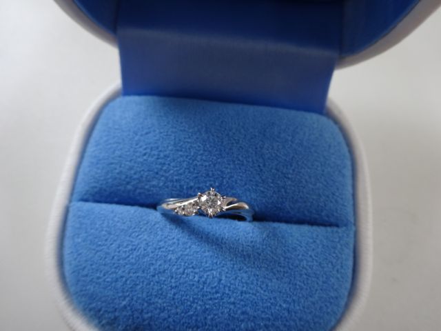 シェル ヴィーナス モデル