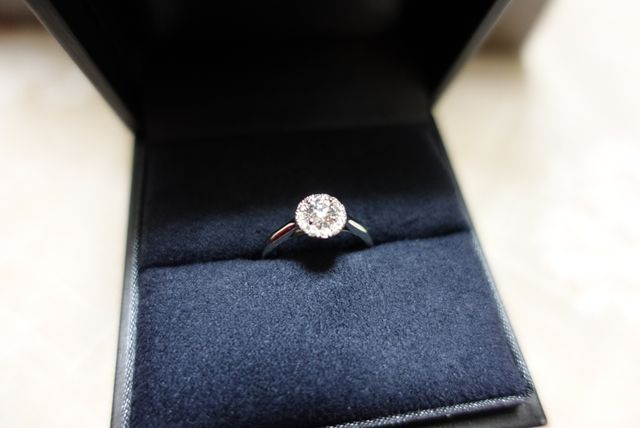 キラキラと輝いています