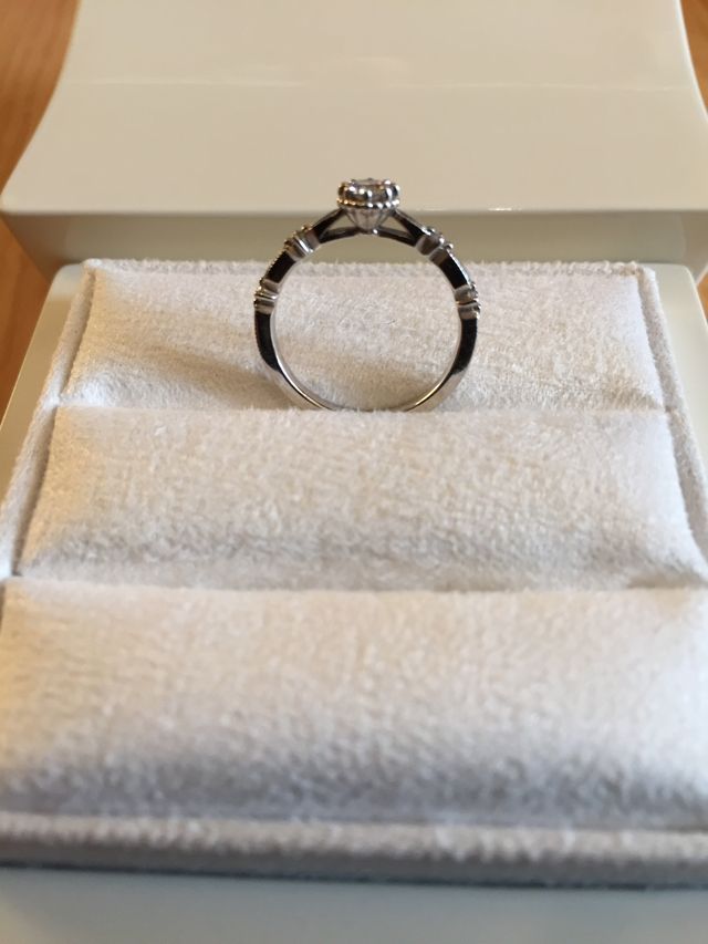 真横からの写真