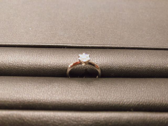 見にくくてすみません