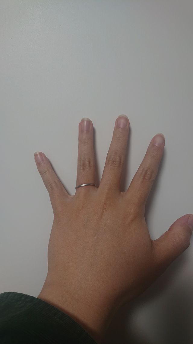 気に入ってます