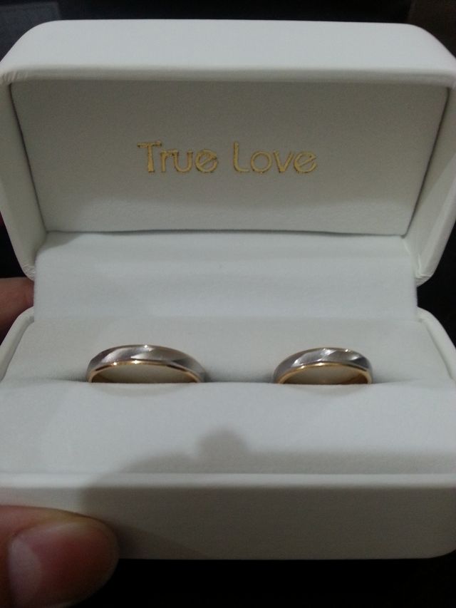 主人17号、私5号です。