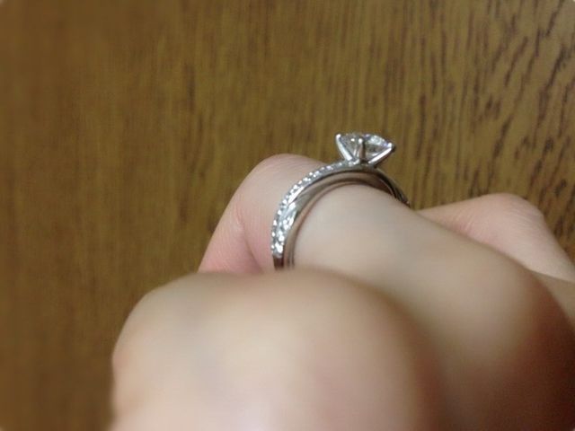 横からの撮影です