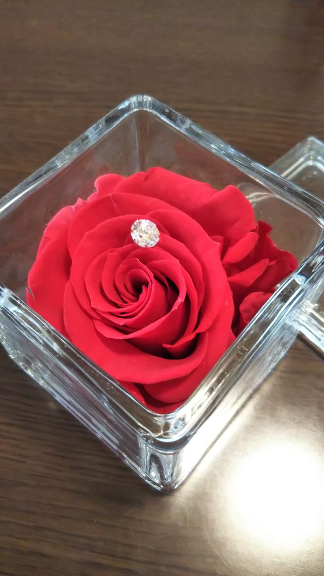 ブリザードフラワーのケース。購入特典としてついてきました。