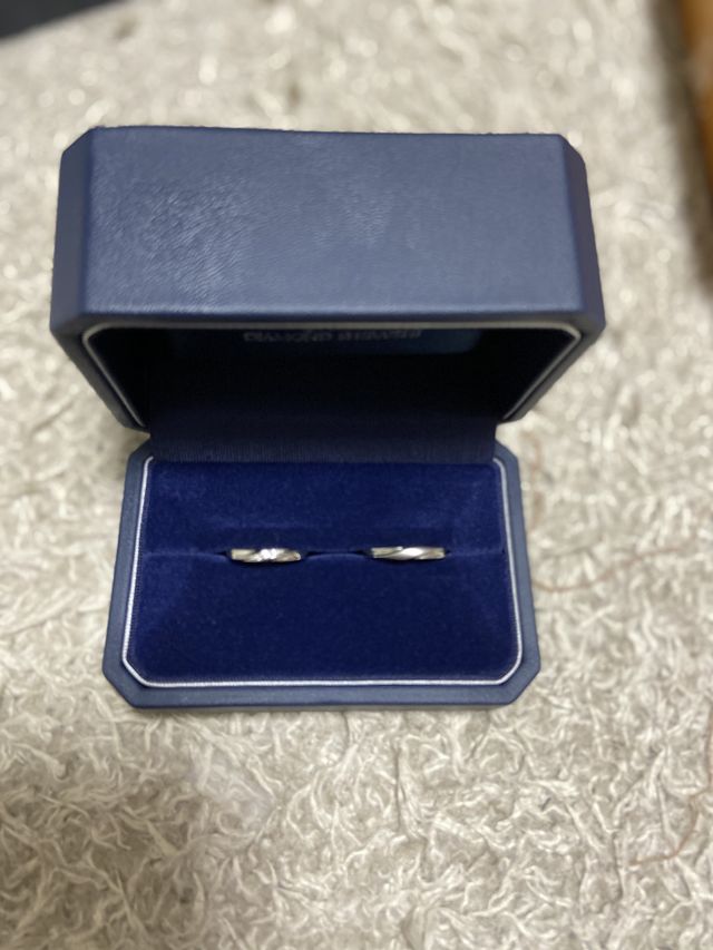 指輪のみです。