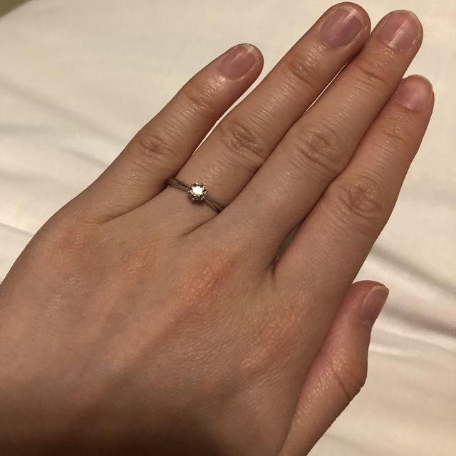 暗い中でもキラキラと光っています。