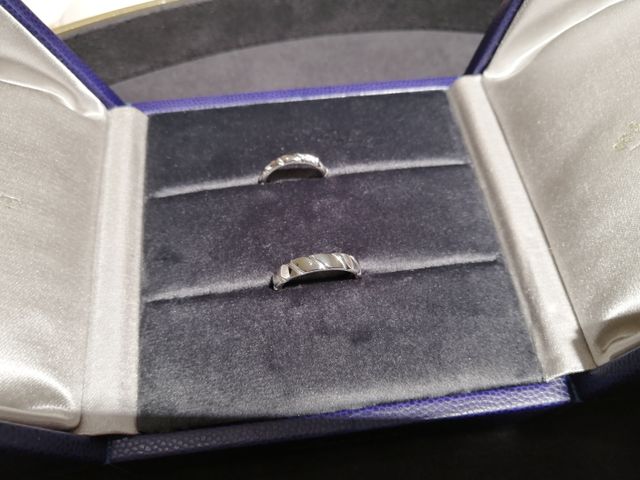 トルサードのペアにしました