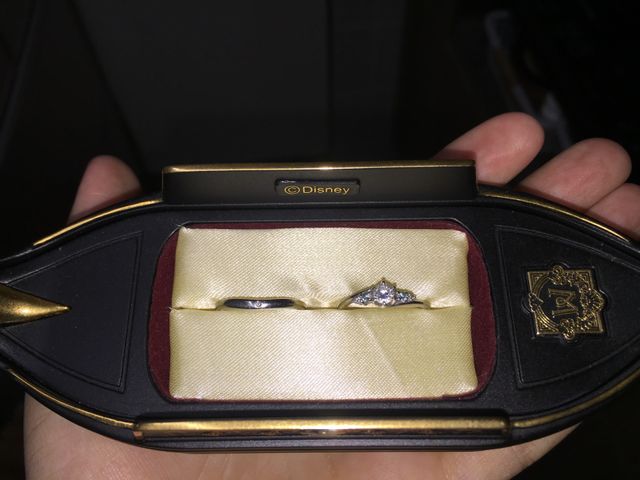 セットリングです。