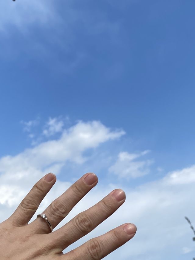婚約指輪を渡した翌日