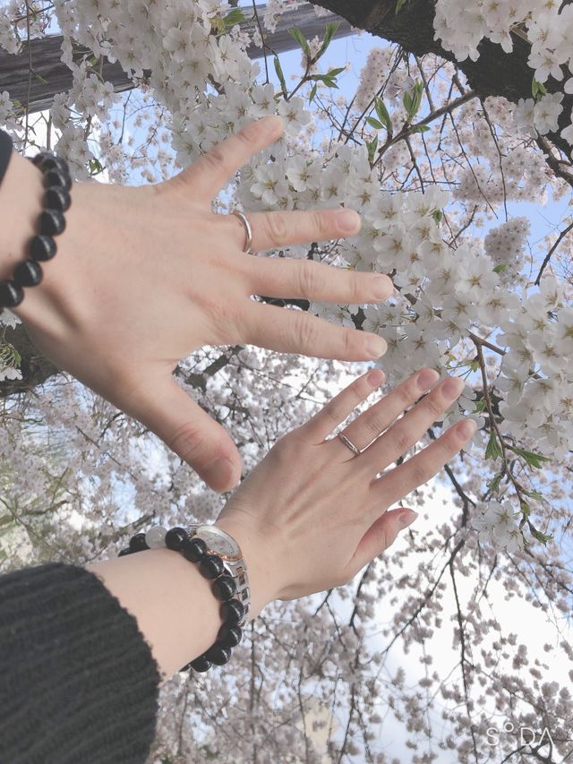 指輪を受け取った時が、春だったので桜を背景に撮りました。