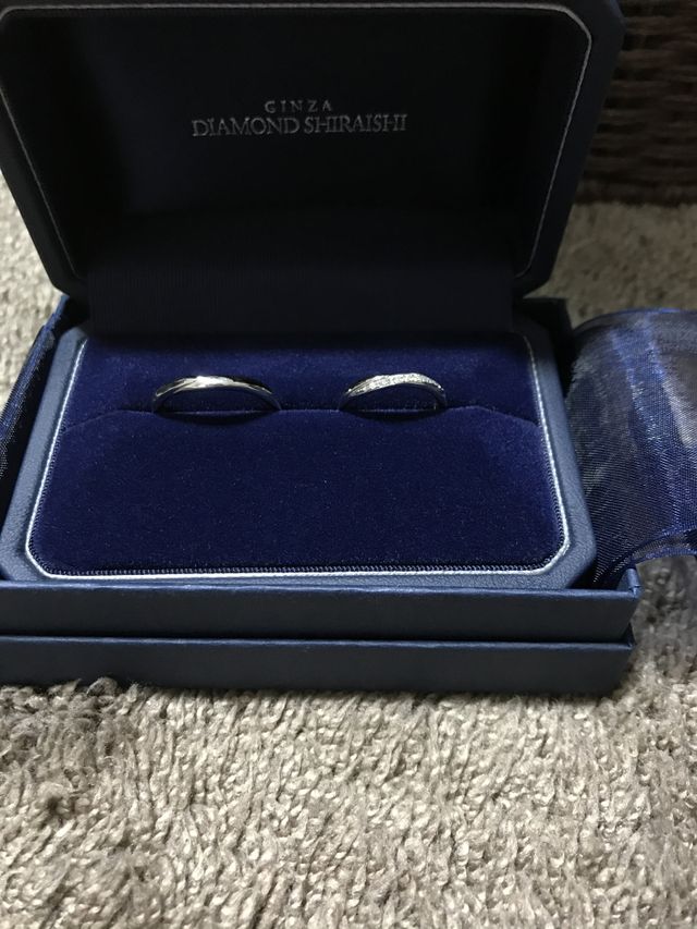 ケースに納めた時