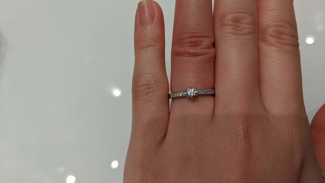 アップにした写真です。