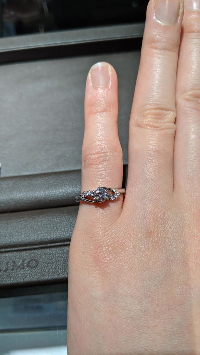 アップした写真です。