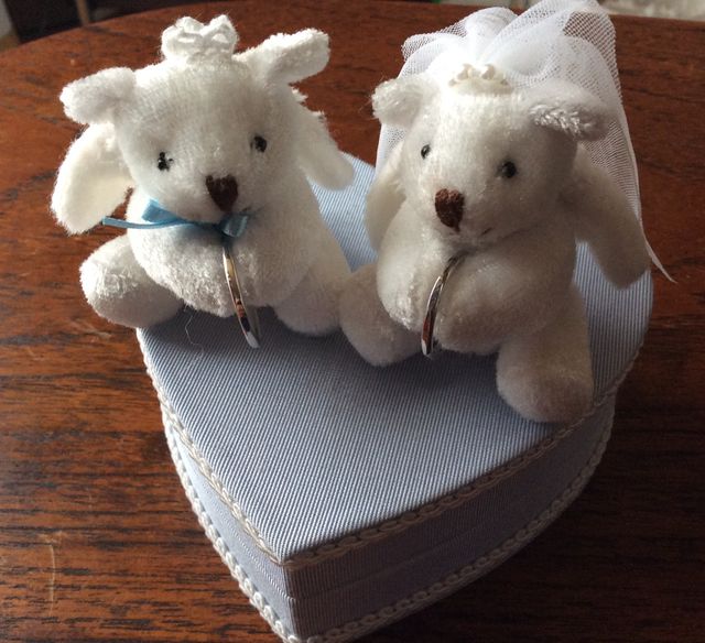 ノベルティのケースと指輪