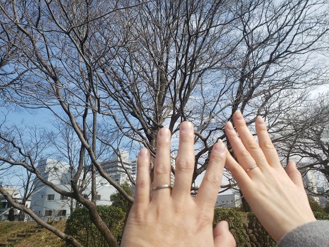 旦那さんは同じロゼットのものです。名前忘れました、、