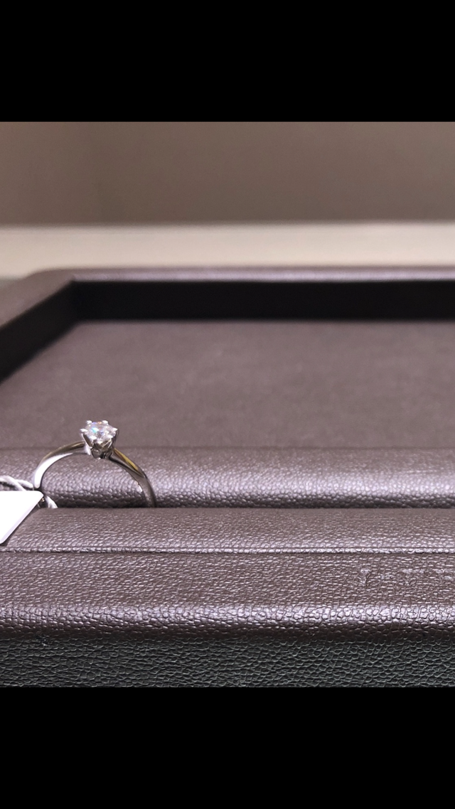 横から見た時のデザインが美しいと感じ、シリウスに決めました。