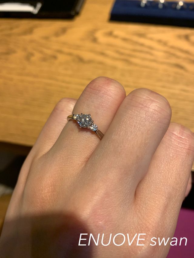 ENUOVEというブランドのswan