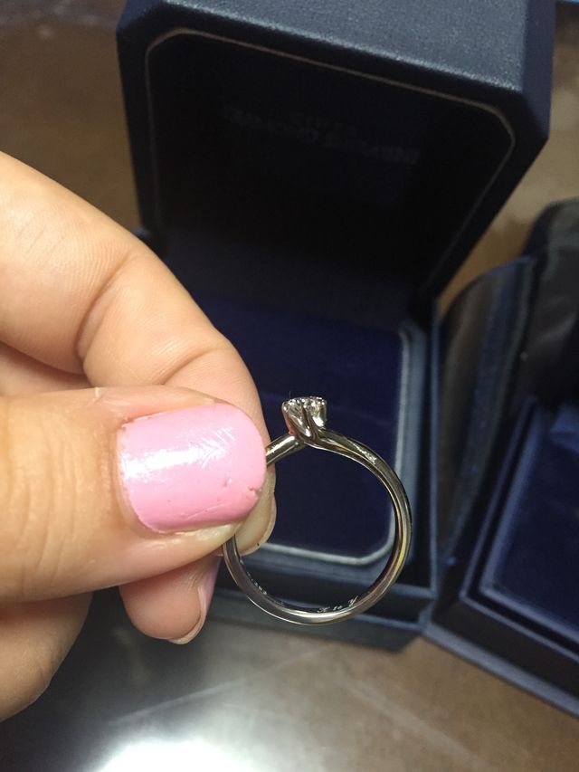 横から見た写真です。