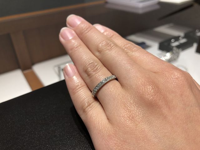 ビューレック4Lを購入。とてもキラキラで美しい。