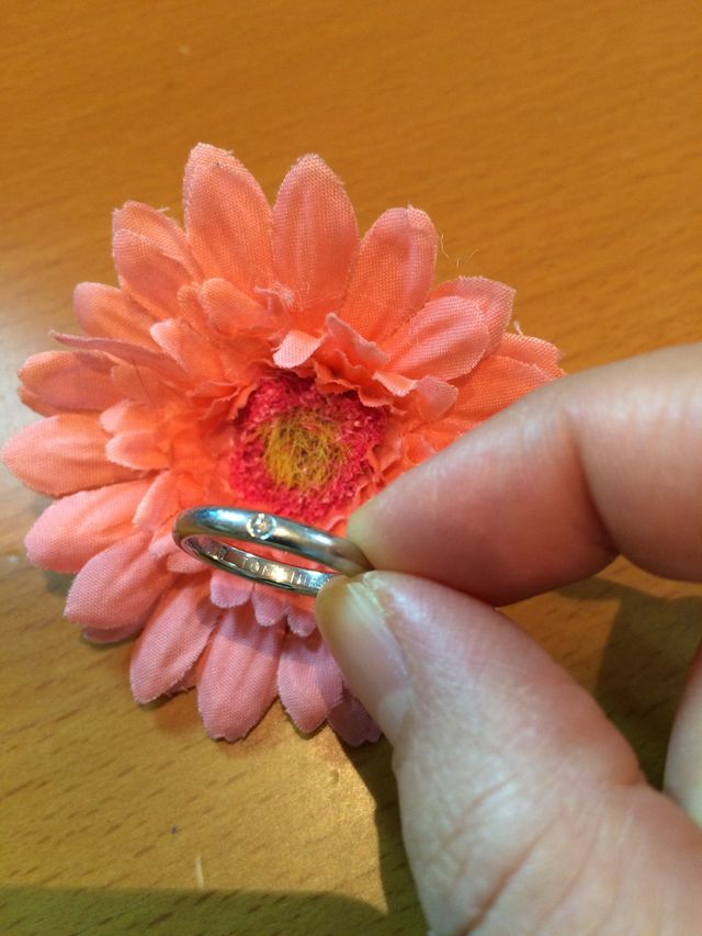 一粒のダイヤが気に入っています