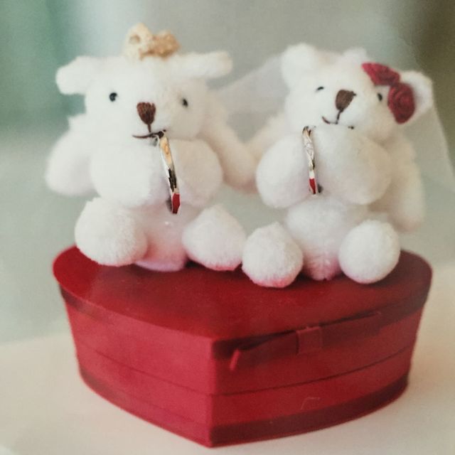 かわいいくまさんのケースは購入した時に一緒についてきました