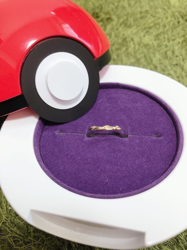 モンスターボールのリングケースと一緒に