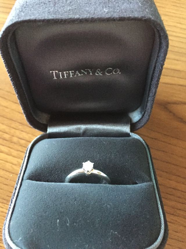 ケースにいれるとこんな感じです