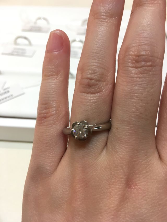 有名なカメリア